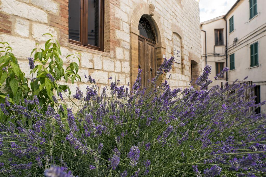 Il Sogno Di Tino Villa Cabernardi Екстериор снимка
